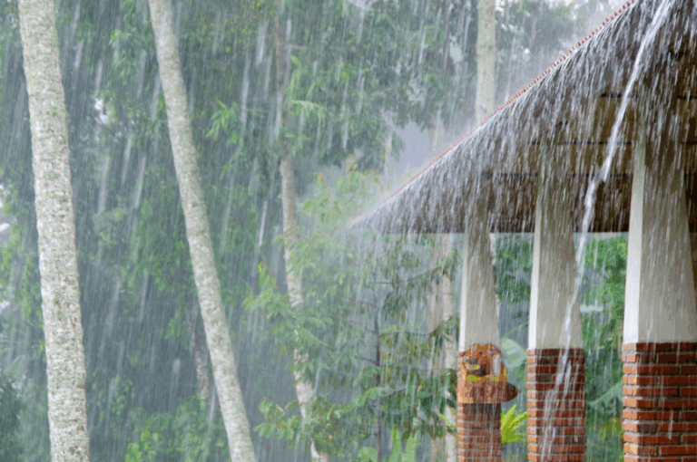 Seguros para eventos: protección climática